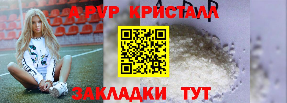 Alfa_PVP СК КРИС Ярославль