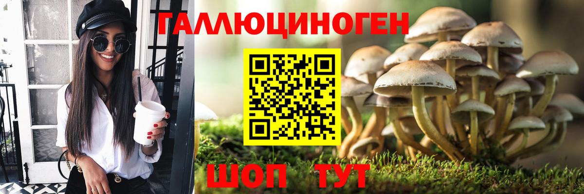 Галлюциногенные грибы Magic Shrooms  купить закладку  Ярославль  Галлюциногенные грибы Psilocybine cubensis  Вход с VPN 